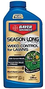 Bayer Crop Science 704240A Concentrate Weed Control, 32-Ounce