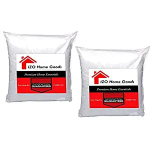 IZO Home Goods Premium Hypoallergenic Stuffer Pillow Insert Sham Square Form Polyester, 20" L X 20" W (2 Pack), Standard/White, Made in USA