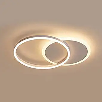 LITFAD Thin Ring LED Flush Ceiling Light Simplicity Acrylic 2 Heads Flush Light in Integrated LED Modern Ceiling Lamp 110V-120V 3000K Pandent Light for Dinning Room Bedroom Living Room -Warm