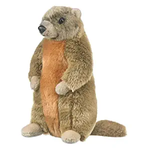 Marmot Groundhog Woodchuck Stuffed Animal Plush Yellow Bellied