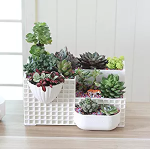 Mecai Modern White Succulent Planter Large Fairy Garden Plants,Office Decor for Men Women Desk Cute -12 inch