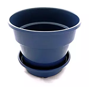 Unique 8 Inch, One Gallon, Self Watering + Aerating + High Drain Deep Saucer Round Planter Pot Minimizes Root Rot & Soil Fungus in Herb, Succulent, for Indoor & Outdoor & Window Gardens (Blue)