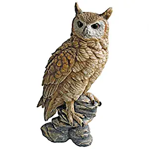 Design Toscano Perching Forest Owl Statue, Multicolored