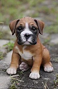 Hi-Line Gift Ltd. Pet Pals - Boxer Puppy Statue