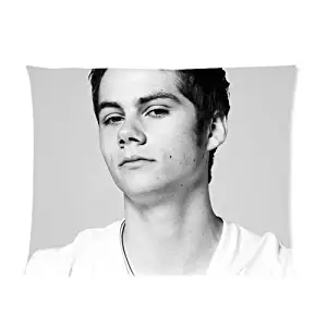 Custom Dylan O'brien Rectangle Pillow Cases 20"x26" Two Sides Pillow Case Cushion Case Cover