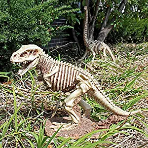 Design Toscano Bad to the Bone, Jurassic T-Rex Raptor Dinosaur Statue