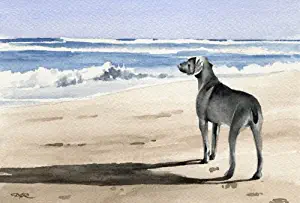 Weimaraner Art Print by Watercolor Artist DJ Rogers