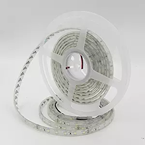 LEDMY DC12V IP68 Waterproof Flexible LED Strip Light SMD3528,String Light, 300LEDs Warm white 3000K, Adhesive Led Tape Light for Fountain, Outdoor, Aquarium and Home Improvement Using 5M/16.4Ft