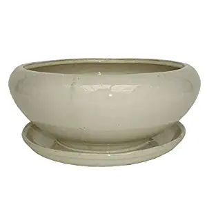 allen + roth 8.27-in W x 4.49-in H Ceramic Round Low Bowl Planter