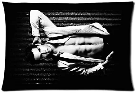 Custom Dylan O'brien 20"x30" Two Sides Pillow Case Cushion Case Cover