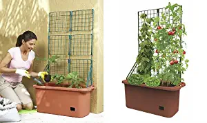 Mobile Garden Vegetable Patch Planter Pot & Trellis Climbing Vine Patio Tomato Veggies Herbs