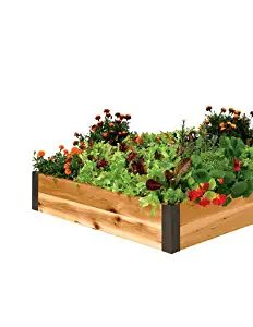 Raised Garden Bed 3' x 8'