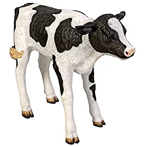 Design Toscano Buttercup The Life Size Holstein Calf Dairy Cow Statue