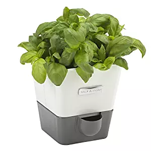 COLE & MASON Self-Watering Indoor Herb Garden Planter - Pot