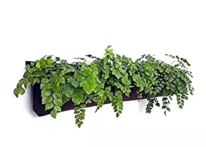 Delectable Garden 5 Pocket Waterproof Indoor Horizontal Planter