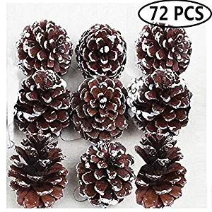 Outgeek Christmas Hanging Ornaments, 72 Pack Natural Pinecone Pendant Set Wood Frosted Pine Cone Ornaments for Xmas Tree Garden Home Decorations