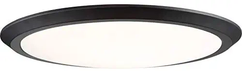 Quoizel VRG1620OI Verge Super Flush Mount Ceiling Lighting, 1-Light, LED 30 Watts, Oil Rubbed Bronze (2" H x 20" W)