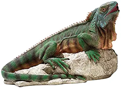 Design Toscano Ike The Iguana Spitter Piped Statue