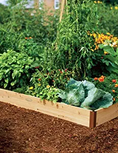 Raised Garden Bed 2' x 6'