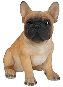 Hi-Line Gift Ltd Sitting French Bulldog Puppy, 775"