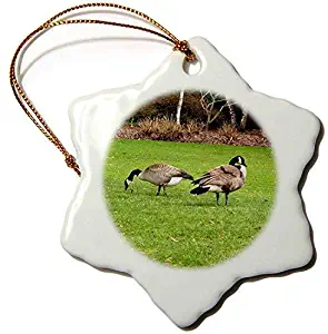 TIFA-LOVE Canada Geese Grazing On The Lawn 3-Inch Snowflake Porcelain Ornament