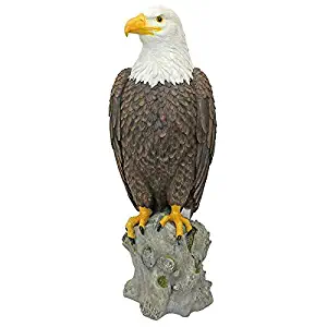 Design Toscano Majestic Mountain Eagle Outdoor Garden Statue, 21 Inch, Full Color