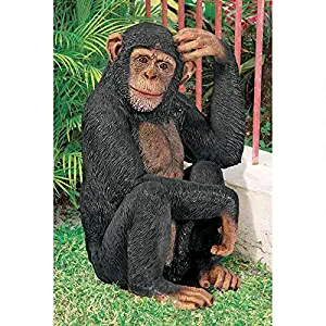 Design Toscano Chauncey the Confused Chimp Garden Monkey Statue, Multicolored