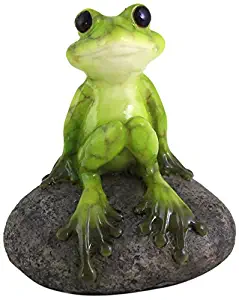 Top Collection 2.725-Inch Miniature Fairy Garden and Terrarium Cute Frog on Stone, Mini