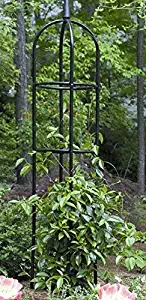 Tall Black Garden Obelisk. This Round Metal Trellis is a Nice Outdoor Fixture for Climbing Vines and Plants.