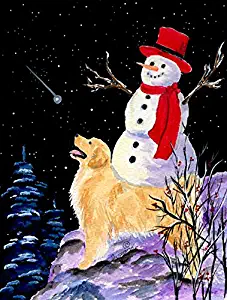 Caroline's Treasures SS8579GF Golden Retriever Flag with Snowman in Red Hat, Small, Multicolor