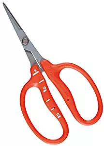 Chikamasa B-500sf Stainless Steel Scissors w/ Fluorine Coating (Resin-resistant)