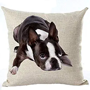 Cotton Linen Cute Funny Various Pet Dogs Human Friends Boston Terrier Throw Pillow Covers Cushion Cover Decorative Sofa Bedroom Living Room Square 18 Inches