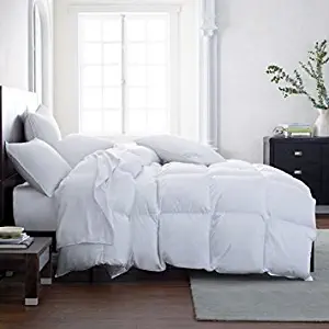 The Ultimate All Season Comforter Deal Hotel Luxury Down Alternative Comforter Duvet Insert with Tabs Washable and Hypoallergenic (Queen)