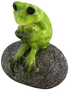 Top Collection 1.75-Inch Miniature Fairy Garden and Terrarium Cute Frog on Stone, Mini