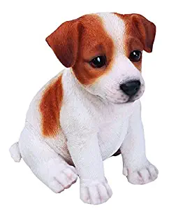 Border Concepts Nature's Gallery Pet Pals (Jack Russell)