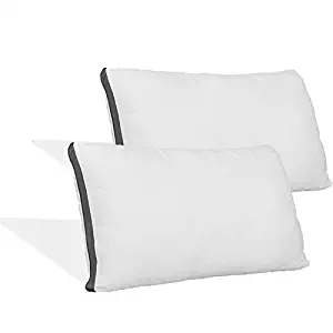 Coop Home Goods - Pillow Protector from Lulltra Fabric - Waterproof and Hypoallergenic - Protect Your Pillow Against Fluids - Oeko-TEX Certified - Queen (2 Pack)
