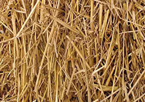 Thunder Acres 4 Pounds 100 Percent Natural Wheat Straw (4 lbs.)
