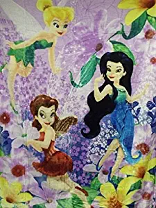 Disney Tinkerbell Spring Pixies Royal Plush Raschel Throw Blanket 60 inch x 80 inch